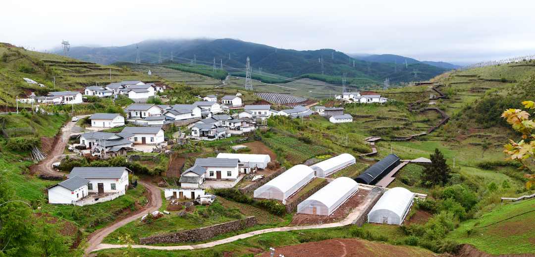 yl23455永利(CHINA)有限公司官网