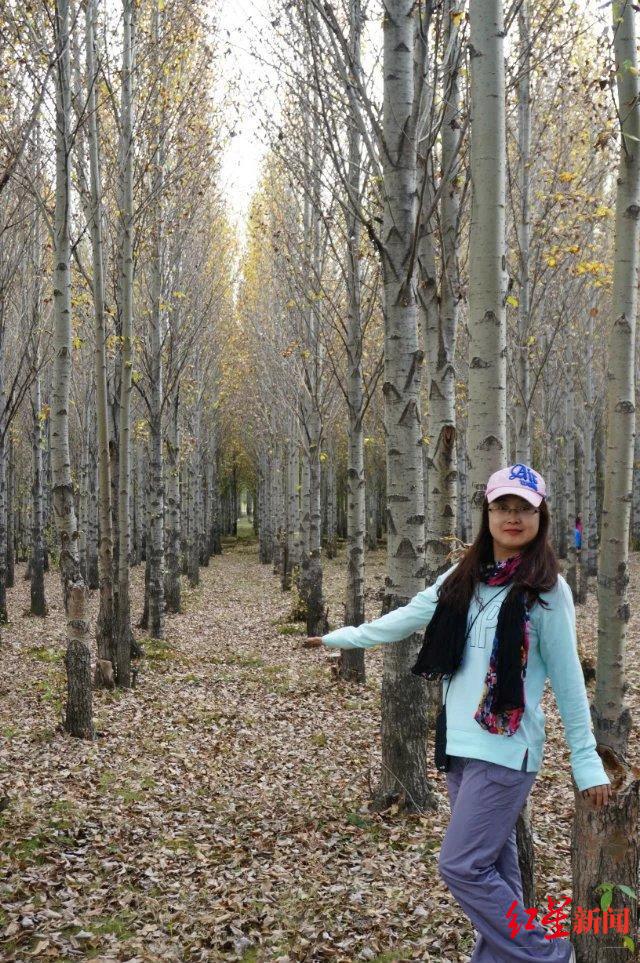 ��ɶ�����δ�� | �ɶ���������ҵ��Ȧǿ���˲����롱��ѡ�߶��ȣ�12���ᴺ��ͬ���ǡ�����