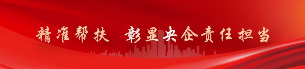 yl23455����(CHINA)���޹�˾����